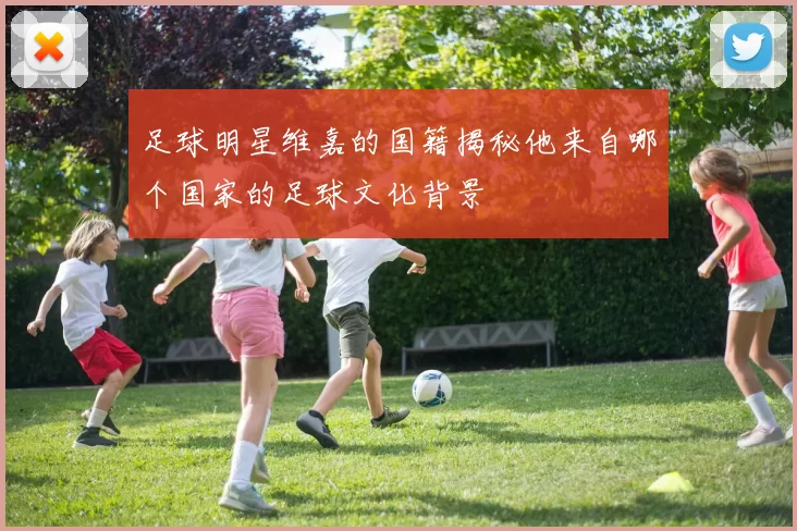 足球明星维嘉的国籍揭秘他来自哪个国家的足球文化背景