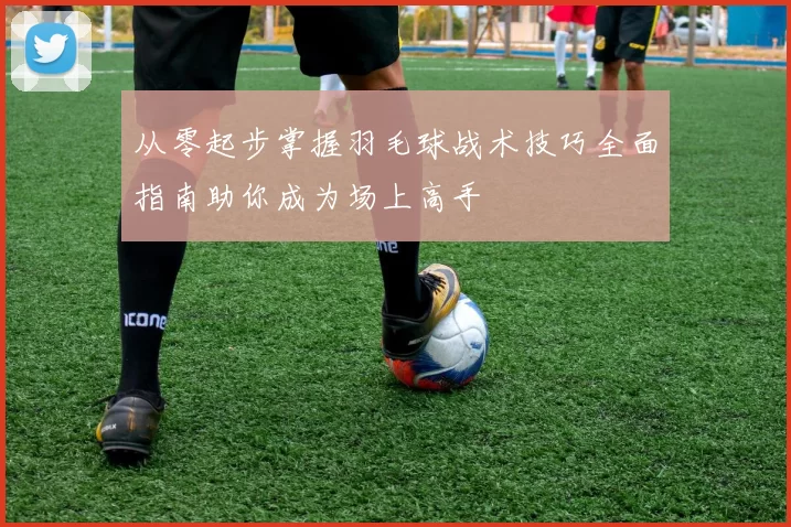 从零起步掌握羽毛球战术技巧全面指南助你成为场上高手