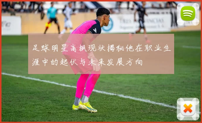 足球明星高枫现状揭秘他在职业生涯中的起伏与未来发展方向